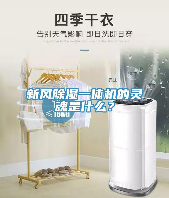 新風(fēng)除濕一體機(jī)的靈魂是什么？