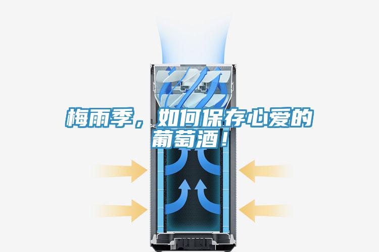 梅雨季，如何保存心愛的葡萄酒！