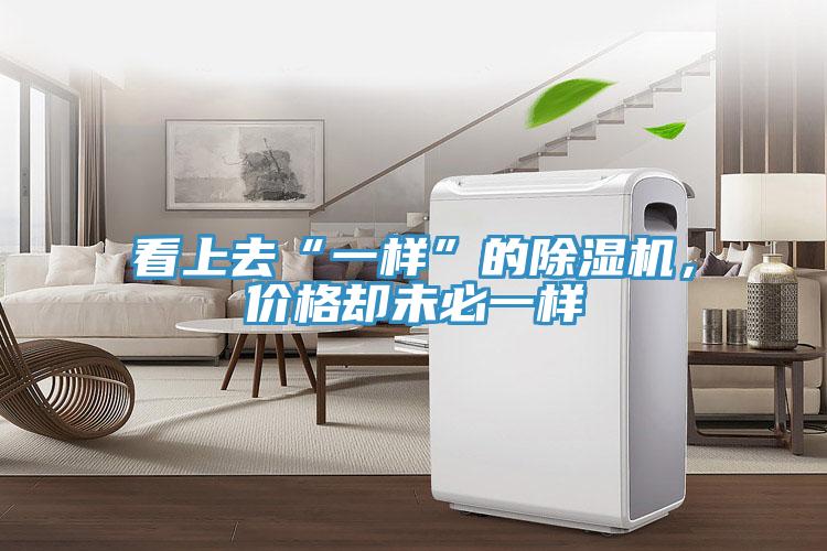 看上去“一樣”的除濕機(jī)，價(jià)格卻未必一樣