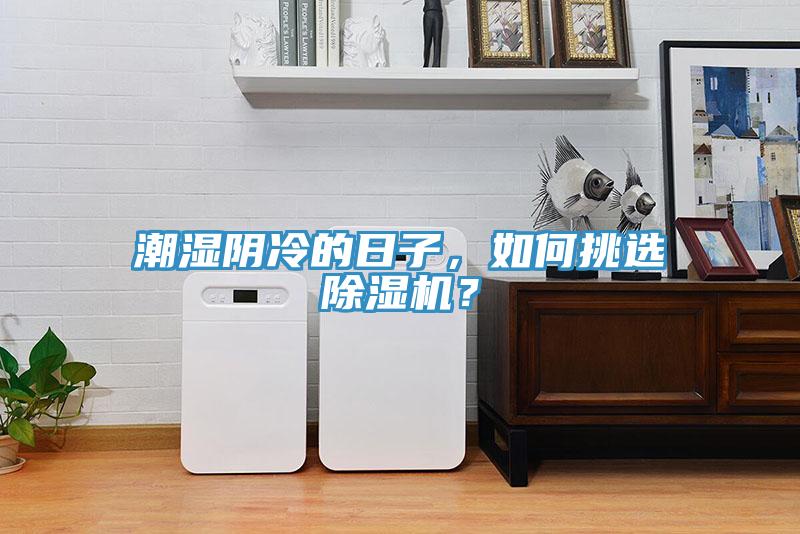 潮濕陰冷的日子，如何挑選除濕機？