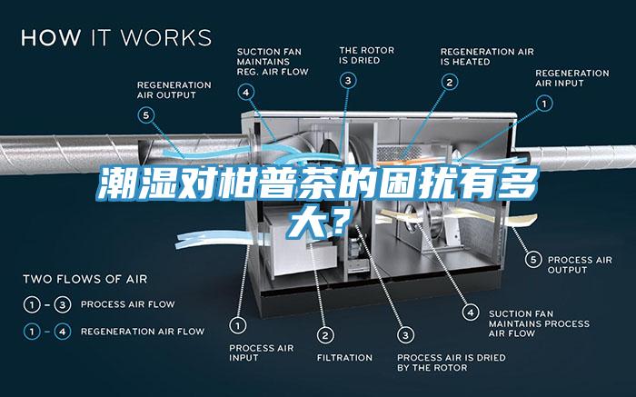 潮濕對柑普茶的困擾有多大？