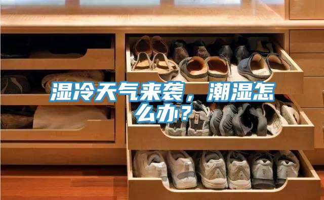 濕冷天氣來襲，潮濕怎么辦？