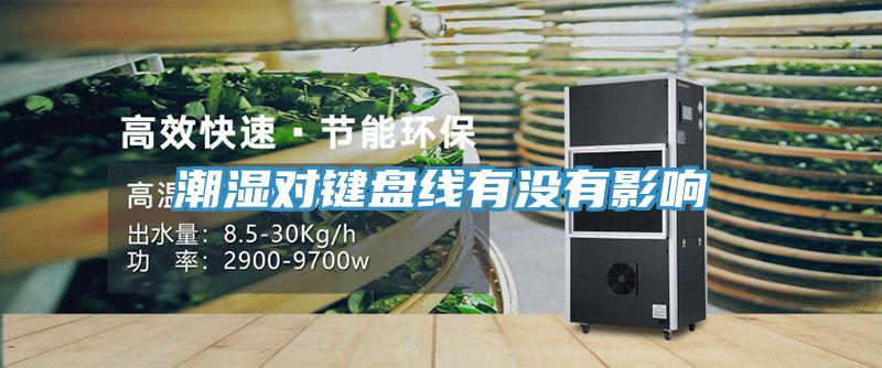 潮濕對鍵盤線有沒有影響