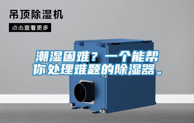 潮濕困難？一個能幫你處理難題的除濕器。