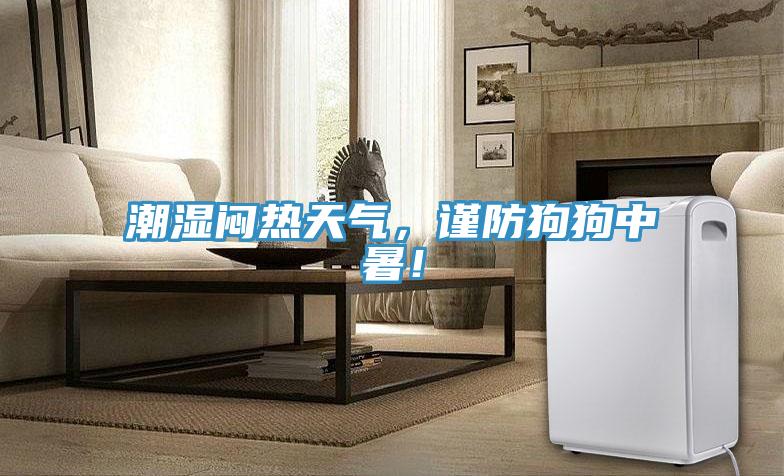 潮濕悶熱天氣，謹防狗狗中暑！
