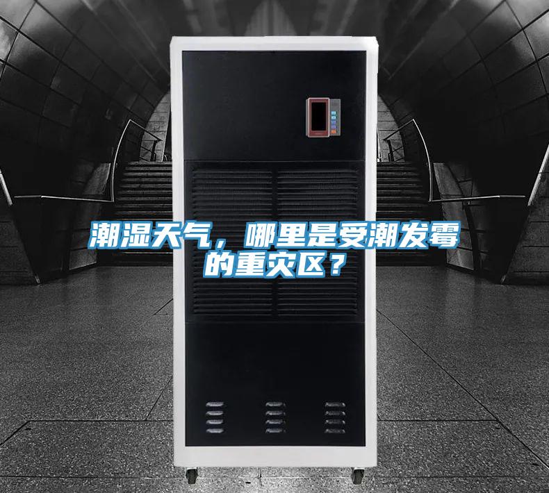 潮濕天氣，哪里是受潮發(fā)霉的重災(zāi)區(qū)？