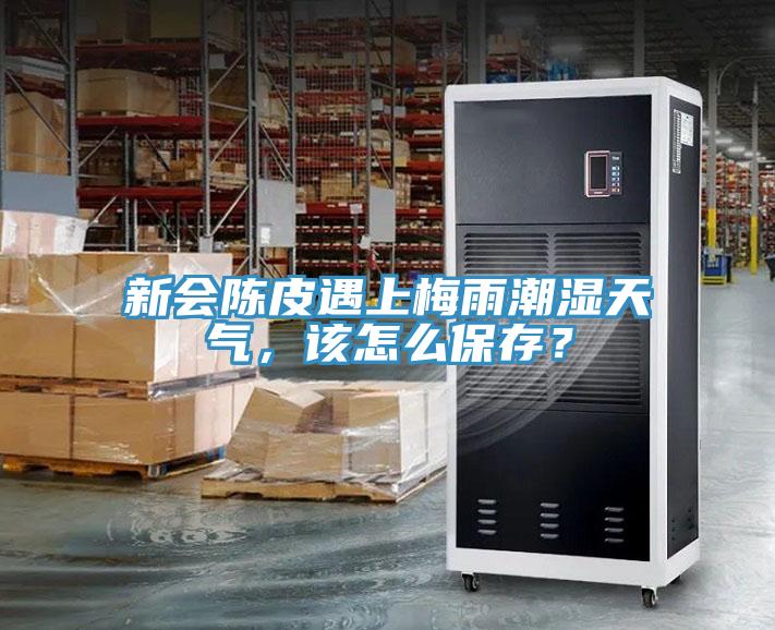 新會陳皮遇上梅雨潮濕天氣，該怎么保存？
