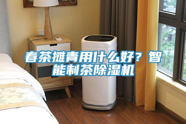 春茶攤青用什么好？智能制茶除濕機(jī)