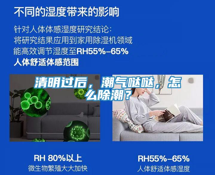 清明過后，潮氣噠噠，怎么除潮？
