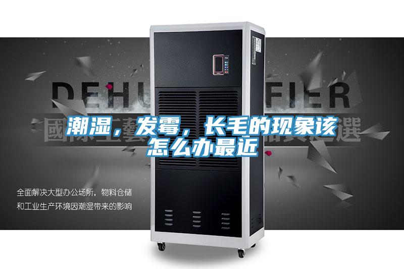 潮濕，發(fā)霉，長毛的現(xiàn)象該怎么辦最近