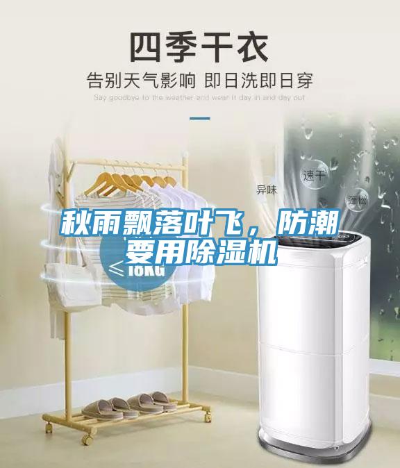 秋雨飄落葉飛，防潮要用除濕機(jī)