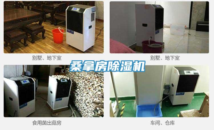 桑拿房除濕機(jī)