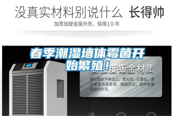 春季潮濕墻體霉菌開始繁殖！