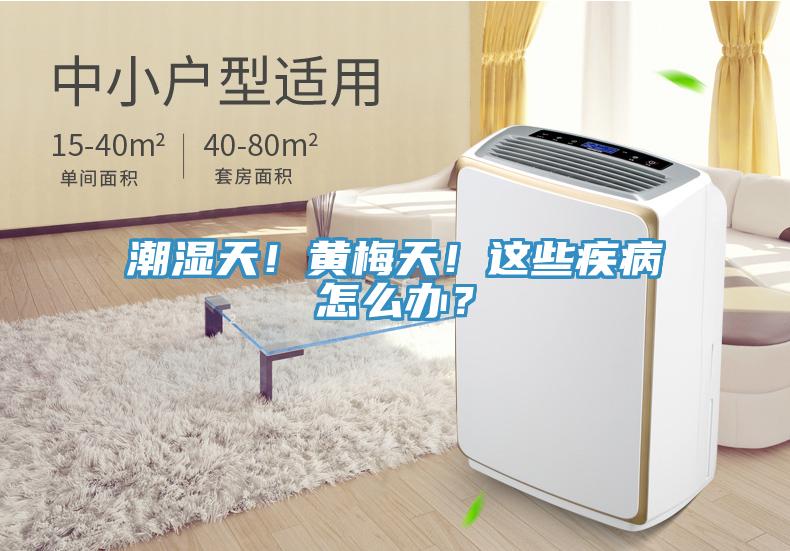 潮濕天！黃梅天！這些疾病怎么辦？