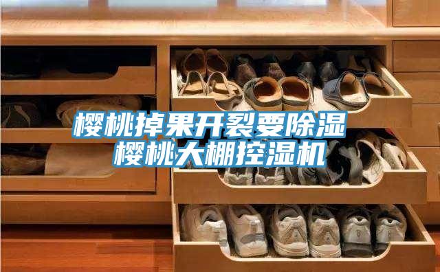 櫻桃掉果開(kāi)裂要除濕 櫻桃大棚控濕機(jī)