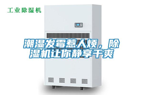 潮濕發(fā)霉惹人煩，除濕機(jī)讓你靜享干爽