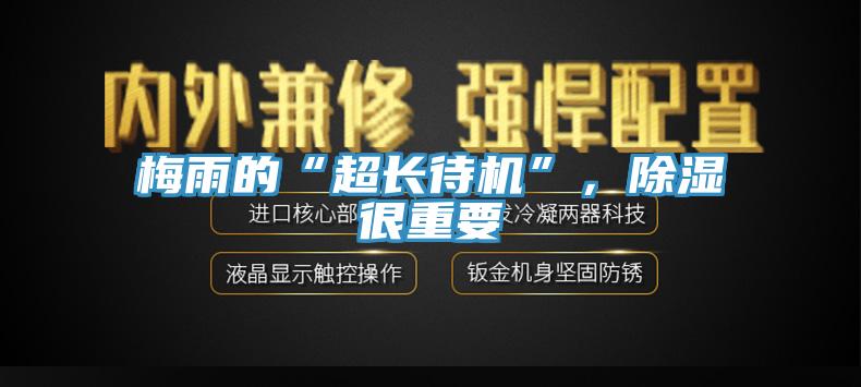梅雨的“超長待機(jī)”，除濕很重要