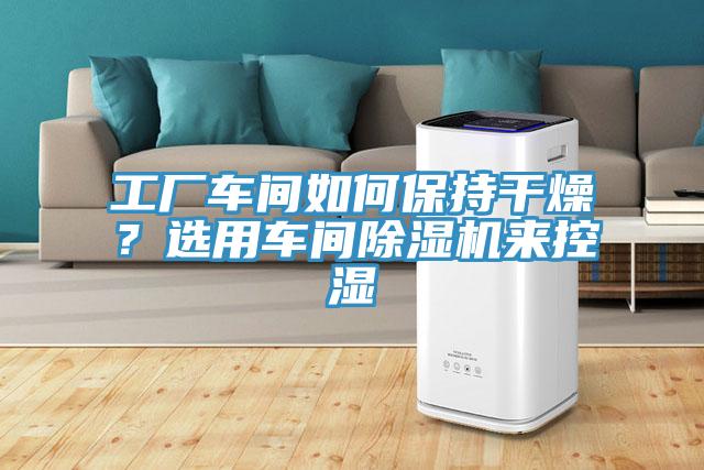 工廠車間如何保持干燥？選用車間除濕機(jī)來控濕