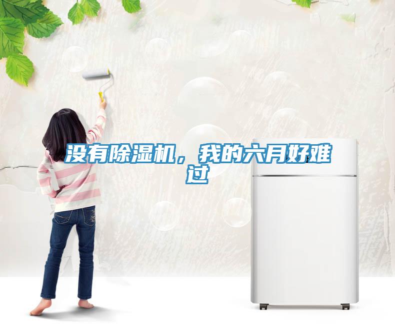 沒有除濕機(jī)，我的六月好難過