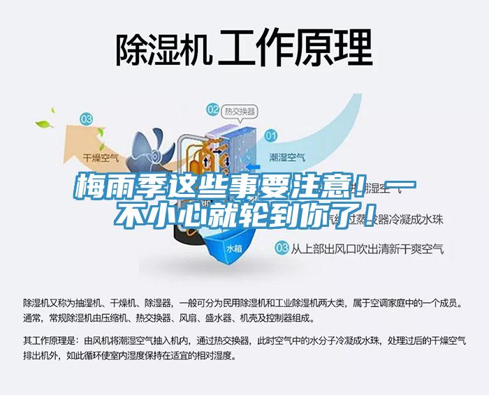 梅雨季這些事要注意！一不小心就輪到你了！