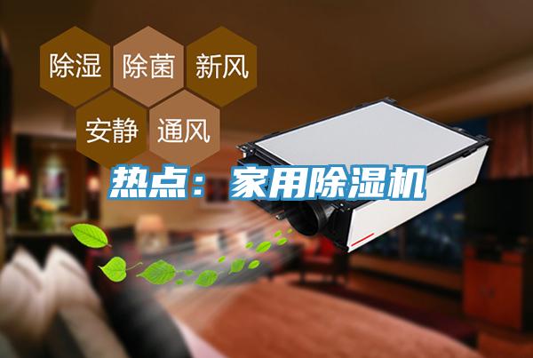 熱點：家用除濕機(jī)