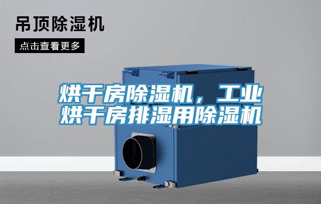 烘干房除濕機(jī)，工業(yè)烘干房排濕用除濕機(jī)