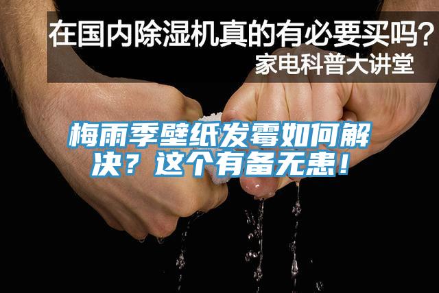 梅雨季壁紙發(fā)霉如何解決？這個有備無患！