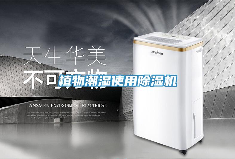 植物潮濕使用除濕機(jī)