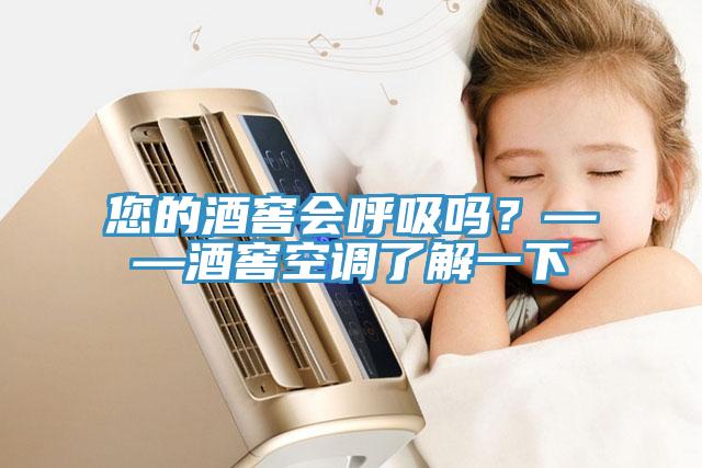 您的酒窖會(huì)呼吸嗎？——酒窖空調(diào)了解一下