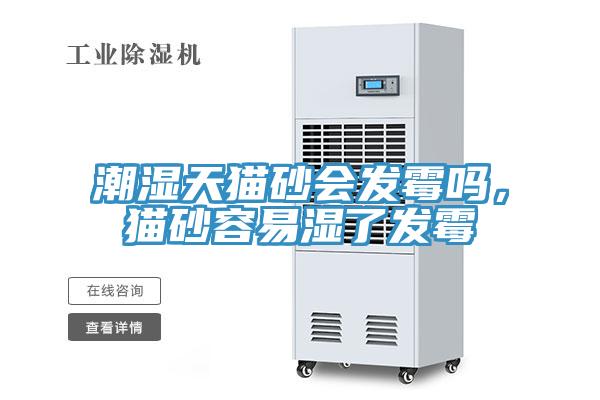 潮濕天貓砂會發(fā)霉嗎，貓砂容易濕了發(fā)霉