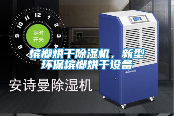 檳榔烘干除濕機(jī)，新型環(huán)保檳榔烘干設(shè)備