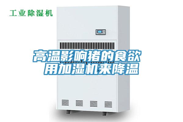 高溫影響豬的食欲 用加濕機(jī)來降溫