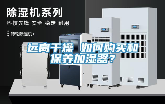 遠(yuǎn)離干燥 如何購(gòu)買和保養(yǎng)加濕器？