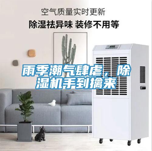 雨季潮氣肆虐，除濕機(jī)手到擒來