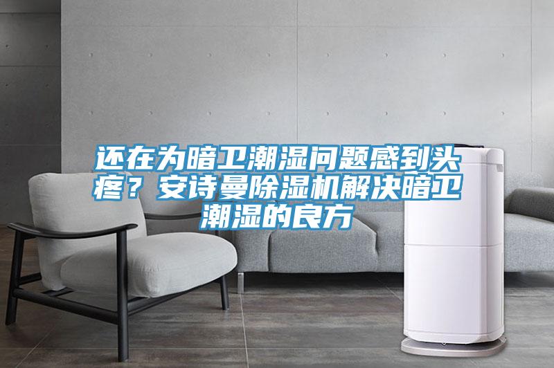還在為暗衛(wèi)潮濕問(wèn)題感到頭疼？安詩(shī)曼除濕機(jī)解決暗衛(wèi)潮濕的良方