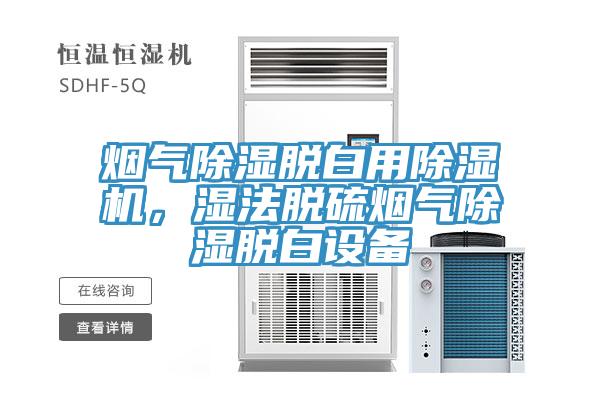 煙氣除濕脫白用除濕機(jī)，濕法脫硫煙氣除濕脫白設(shè)備