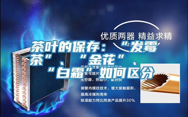 茶葉的保存：“發(fā)霉茶”、“金花”、“白霜”如何區(qū)分
