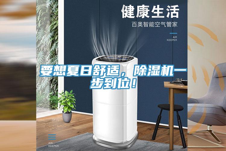 要想夏日舒適，除濕機一步到位！