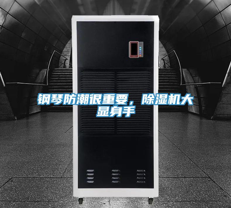 鋼琴防潮很重要，除濕機大顯身手