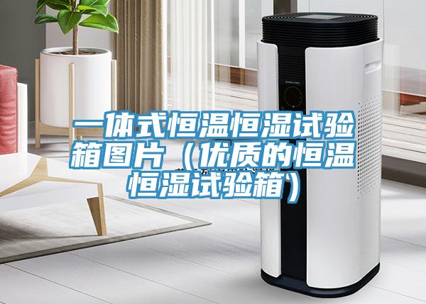 一體式恒溫恒濕試驗箱圖片（優(yōu)質(zhì)的恒溫恒濕試驗箱）