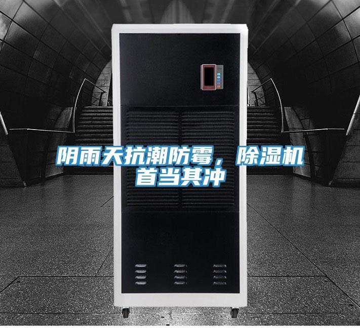 陰雨天抗潮防霉，除濕機(jī)首當(dāng)其沖