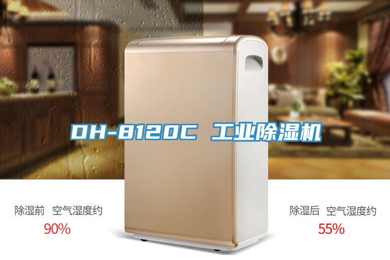 DH-8120C 工業(yè)除濕機(jī)