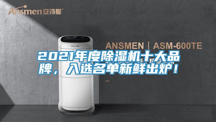 2021年度除濕機十大品牌，入選名單新鮮出爐！