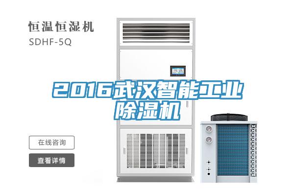 2016武漢智能工業(yè)除濕機(jī)