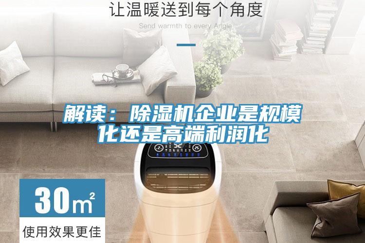 解讀：除濕機(jī)企業(yè)是規(guī)?；€是高端利潤(rùn)化