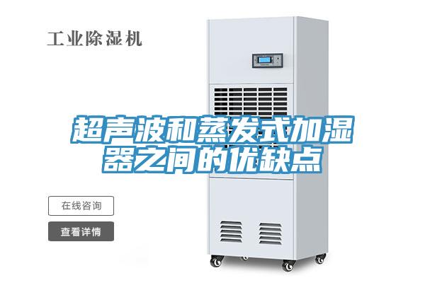 超聲波和蒸發(fā)式加濕器之間的優(yōu)缺點(diǎn)