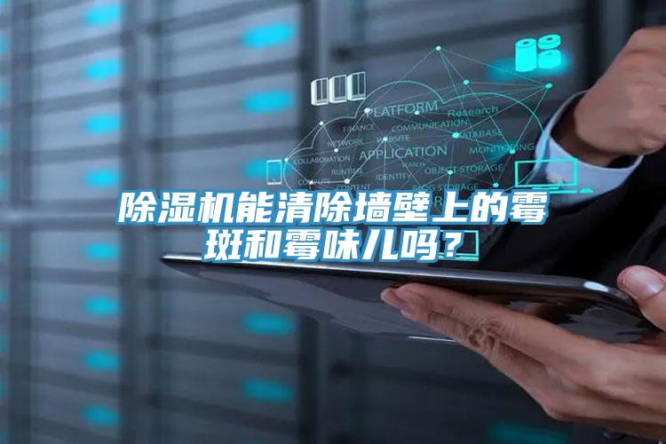 除濕機能清除墻壁上的霉斑和霉味兒嗎？