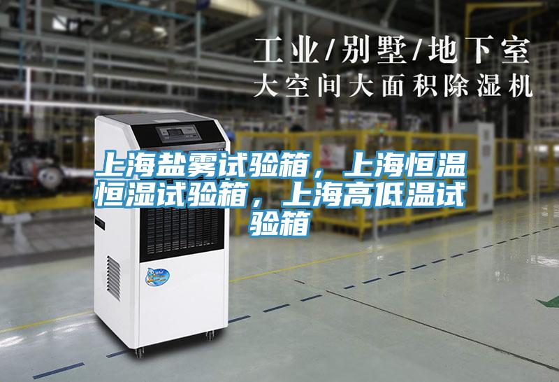 上海鹽霧試驗(yàn)箱，上海恒溫恒濕試驗(yàn)箱，上海高低溫試驗(yàn)箱