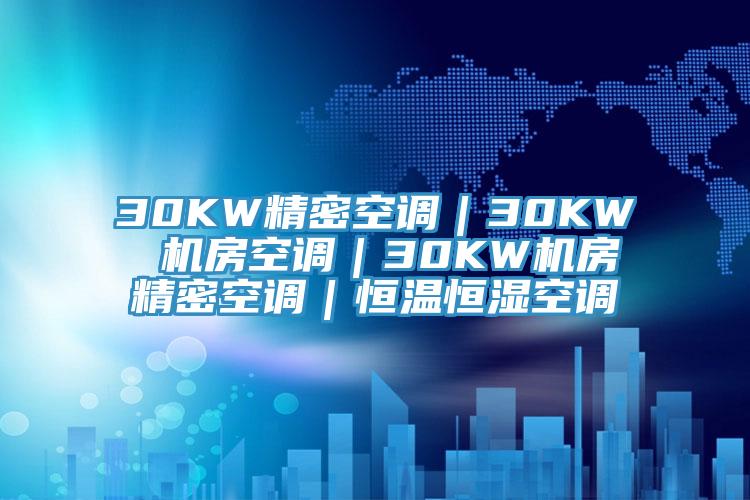 30KW精密空調(diào)｜30KW 機房空調(diào)｜30KW機房精密空調(diào)｜恒溫恒濕空調(diào)