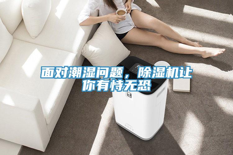 面對潮濕問題，除濕機讓你有恃無恐